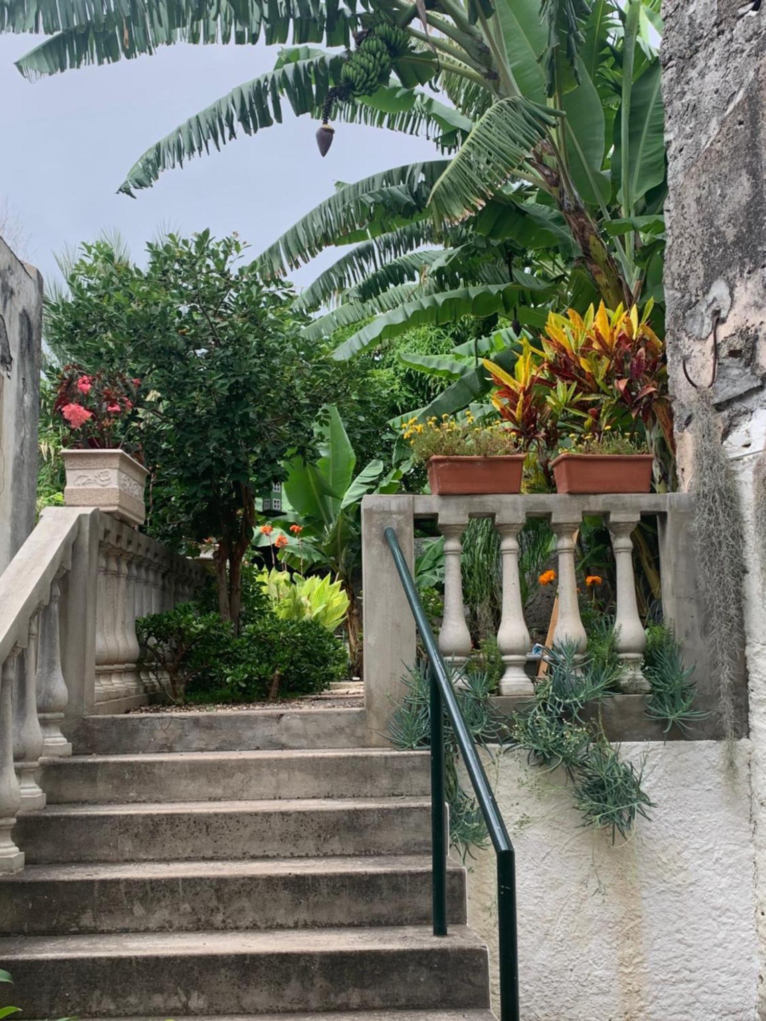 Vitorina Corte Guesthouse Funchal  Extérieur photo